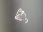 20131102_125833 Grain of salt.jpg